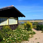 Hütte am Meer Cap Ferret