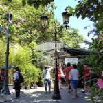 Blumenmarkt auf der Ile de la Cité