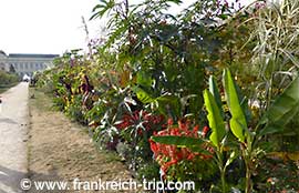 Jardin des Plantes, Botanischer Garten Paris