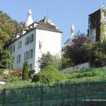 Weinberg am Montmartre