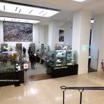 Boutique und Buchladen - Musée de l'homme
